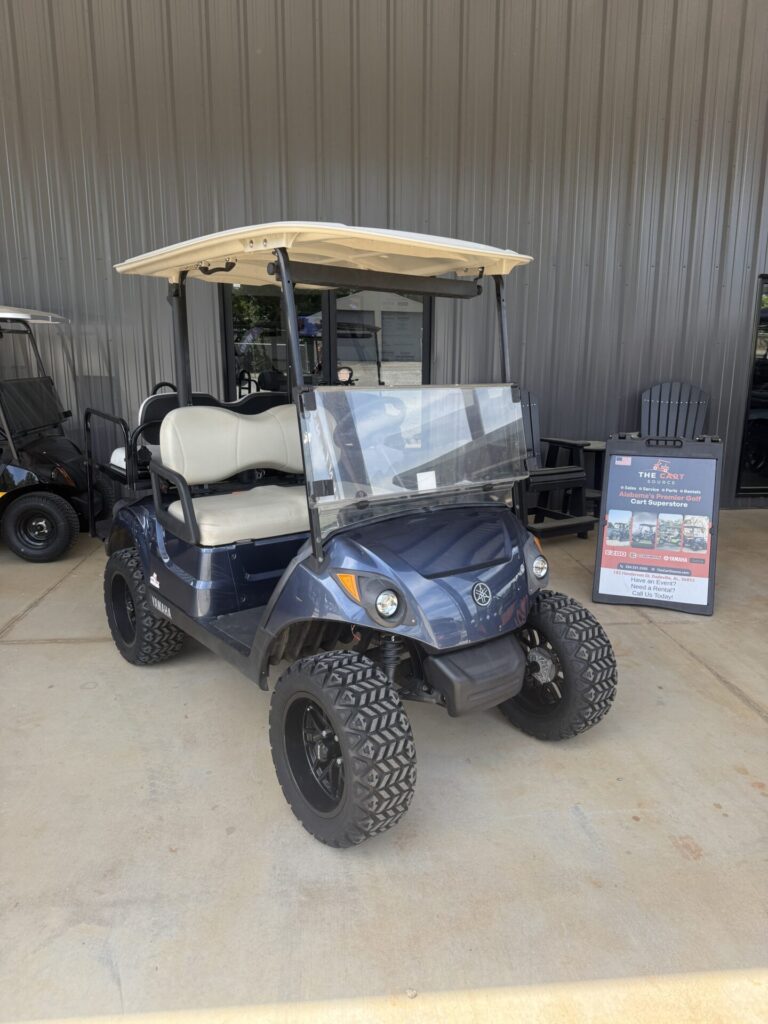 2018 Yamaha Drive2